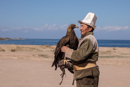 GoldenEagleHuntBokonbaevoIssykulKyrgyzstan