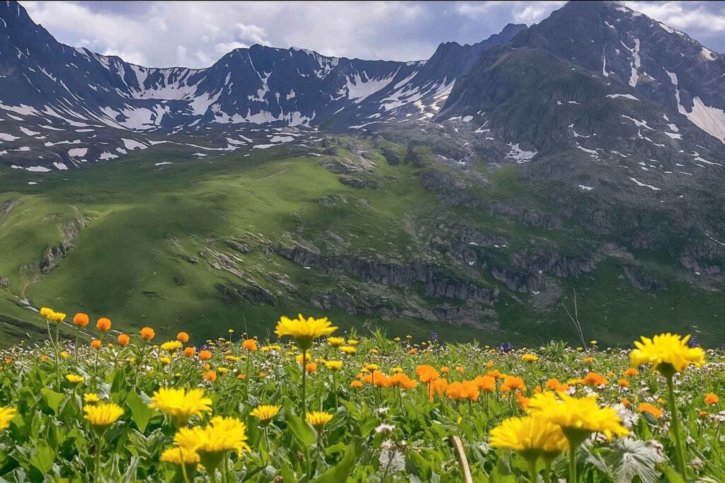 7 Day East Kazakhstan Expedition