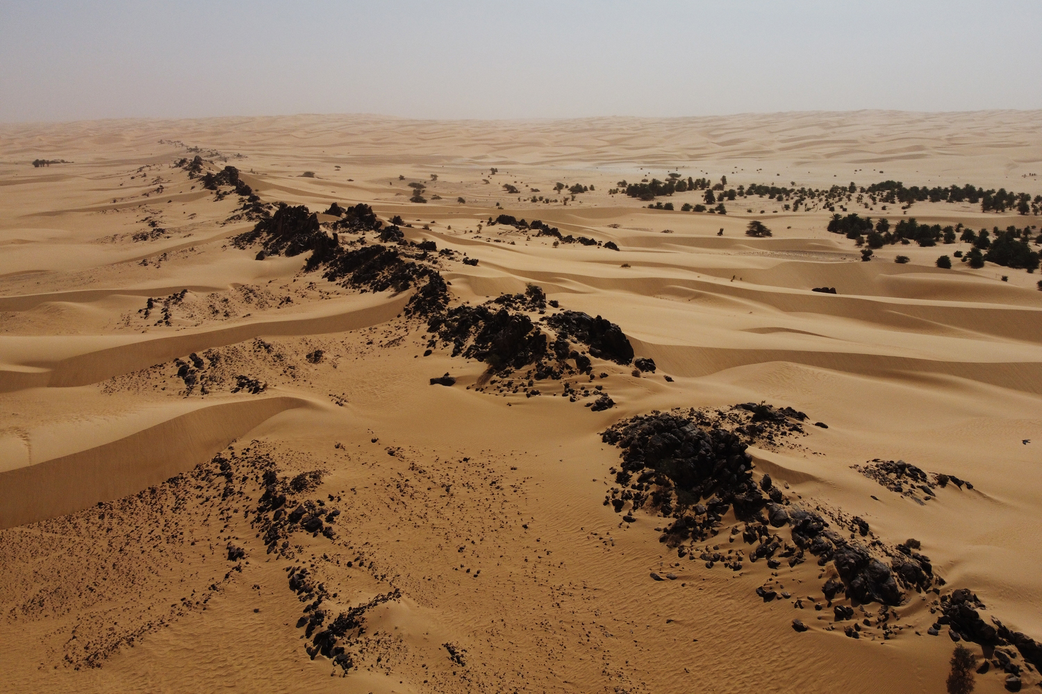 Mauritania